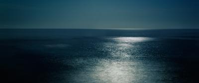 David Drebin Midnight
