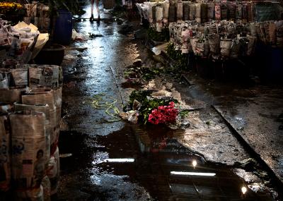 David Drebin Never Look Back