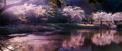 David Drebin Pink Hour