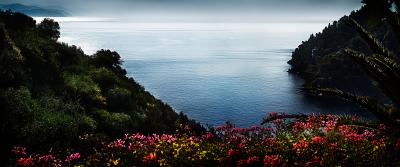 David Drebin Portofino Flowers