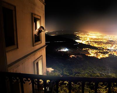 David Drebin Room With A View