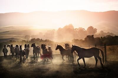 David Drebin Running Wild