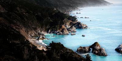 David Drebin The Blue Sea