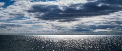David Drebin The End