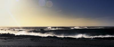 David Drebin Waves