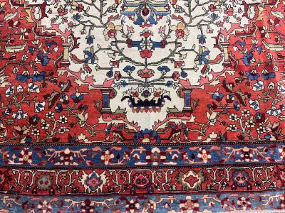 Fine Antique Persian Farahan Sarouk Rug 6 3 x 10 0 