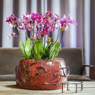 Japanese Red Lacquer Negoro Hibachi with Rabbits