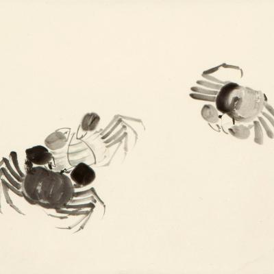 Minol Araki Crabs 1976