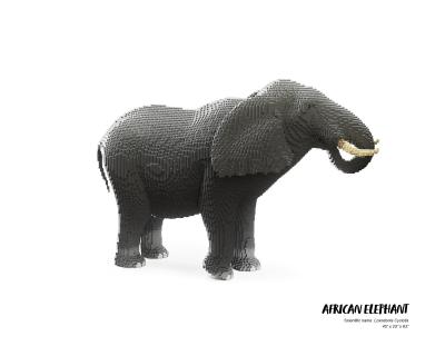 Nathan Sawaya African Elephant Nathan Sawaya