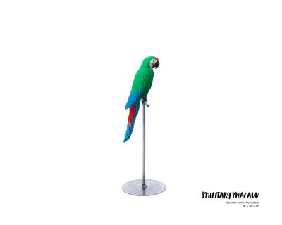 Nathan Sawaya Military Macaw Nathan Sawaya