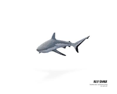 Nathan Sawaya Reef Shark Nathan Sawaya