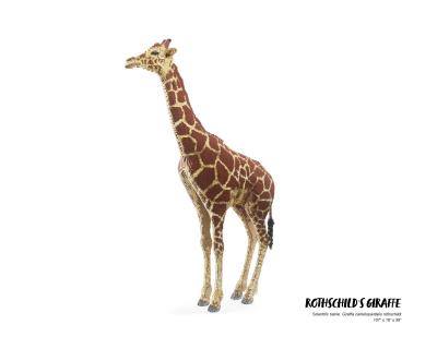 Nathan Sawaya Rothschilds Giraffe Nathan Sawaya