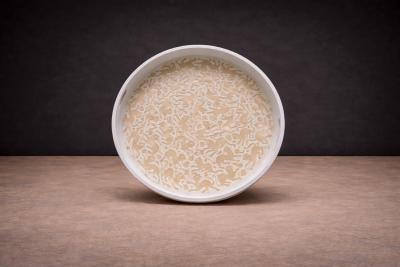 Ocelote Tray Wood Ensamble Artesano 2024