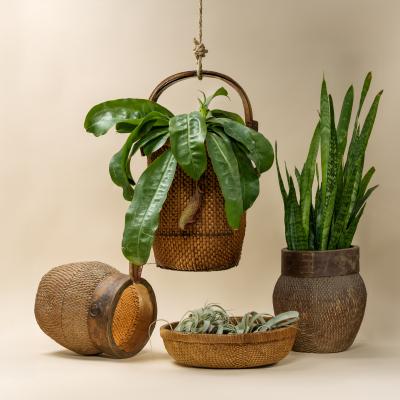 Provincial Grain Basket