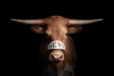 Randal Ford Bevo XV Black Randal Ford