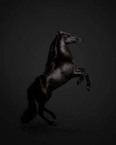 Randal Ford Black Horse No 3 Randal Ford