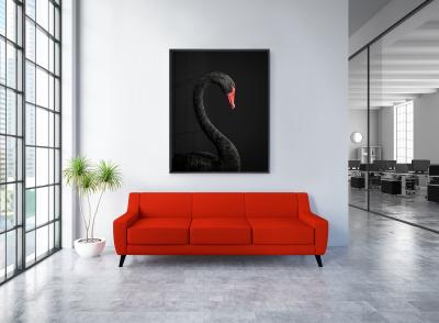 Randal Ford Black Swan No 1 Randal Ford