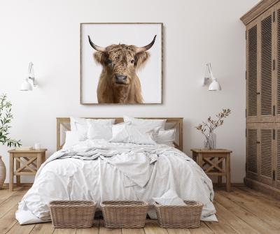 Randal Ford Highland Cow No 2 Randal Ford