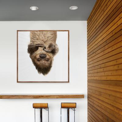 Randal Ford Upside Down Sloth Randal Ford