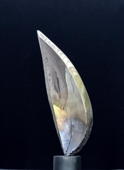 Santiago Medina FLAME OF GENESIS Santiago Medina