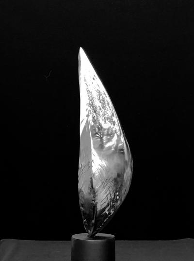 Santiago Medina FLAME OF GENESIS Santiago Medina