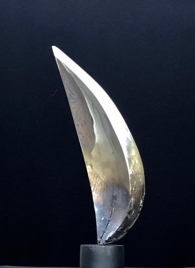 Santiago Medina FLAME OF GENESIS Santiago Medina