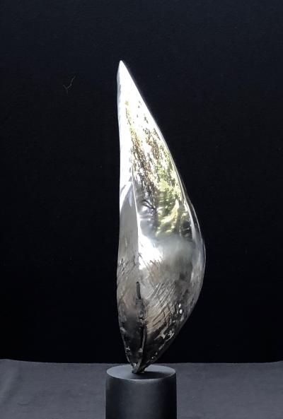 Santiago Medina FLAME OF GENESIS Santiago Medina