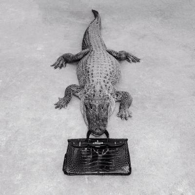 Tyler Shields Tyler Shields Gator Birkin Monochrome 2014