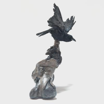 Vintage Raven Taxidermy on Root Sculpture