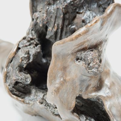 Vintage Raven Taxidermy on Root Sculpture