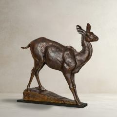 A Young African Kudu 2001 Dan Ostermiller - 4407084