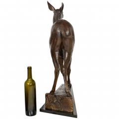 A Young African Kudu 2001 Dan Ostermiller - 4407086