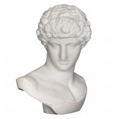 Bust of Capitoline Antinous Filli Pugi 19th Century - 4407125
