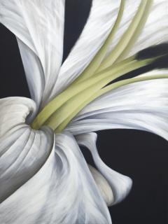 Deborah Bigeleisen Untitled No 8 Deborah Bigeleisen - 3084050