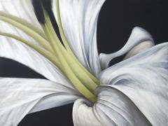 Deborah Bigeleisen Untitled No 8 Deborah Bigeleisen - 3084051