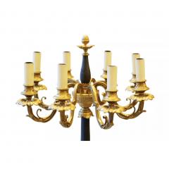 French Gilt And Patinated Bronze Floor Lamp In The Louis XVI Style France - 4780999