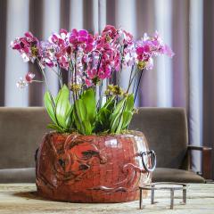 Japanese Red Lacquer Negoro Hibachi with Rabbits - 4459813