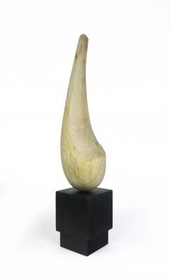 Joel Urruty Fanjo Joel Urruty - 3253365