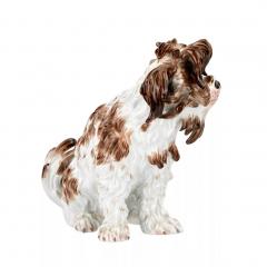 Meissen Porcelain Figure Of A Lapdog Germany Meissen - 4782137