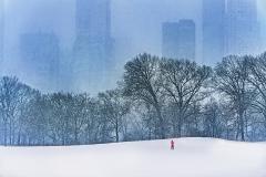 Mitchell Funk Snow in Central Park Billionaire Row Monochromatic Grey and Blue - 2924956