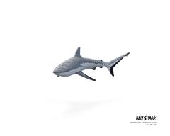 Nathan Sawaya Reef Shark Nathan Sawaya - 3220818