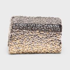 Ombre Riser - 4166368
