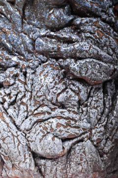 Organic blue side table by Helder 2023  - 4539322