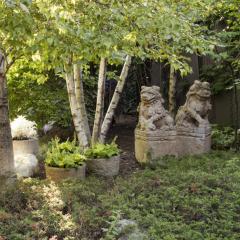 Pair of Guardian Fu Dogs - 4166748