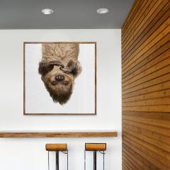 Randal Ford Upside Down Sloth Randal Ford - 3372476