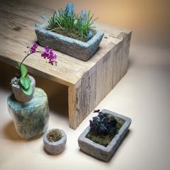 Reclaimed Elm Coffee Table - 4258261