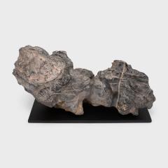 Recumbent Lion Lingbi Scholars Rock - 4166615