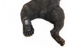 Resting Bear after Nikolai Lieberich - 4407521