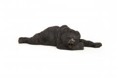 Resting Bear after Nikolai Lieberich - 4407524