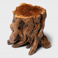 Rootwood Side Table - 4259720